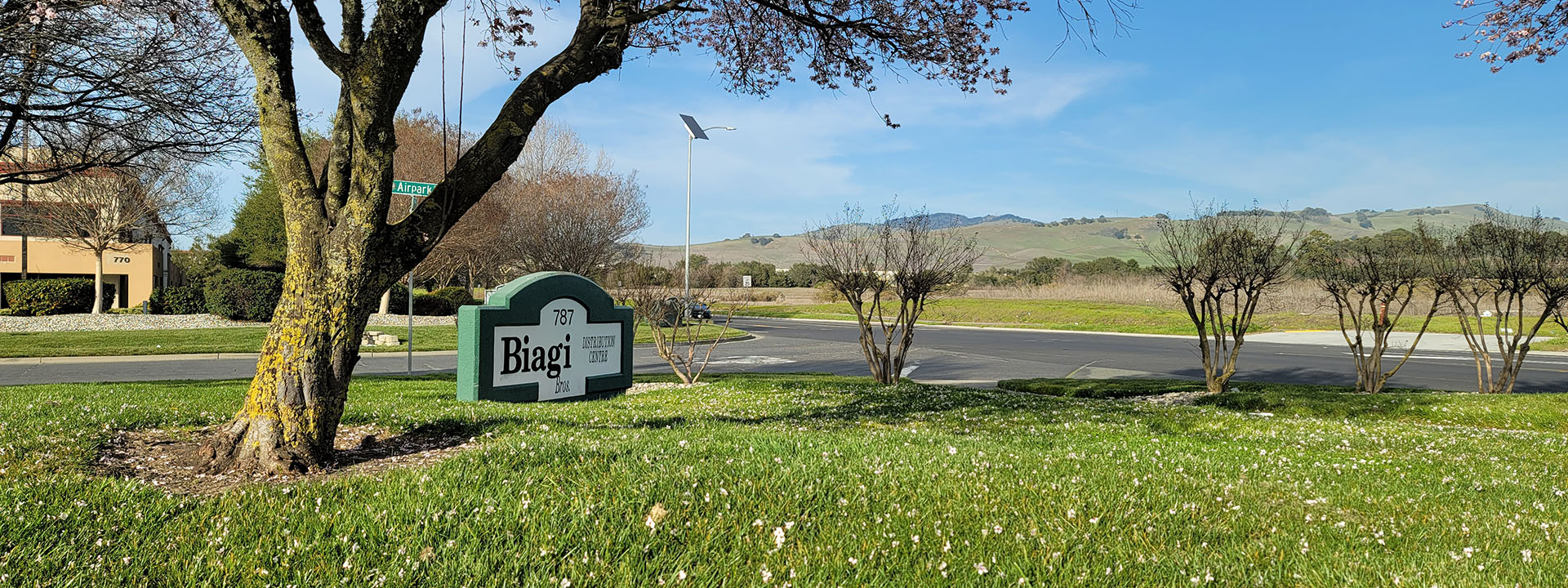 Contact Biagi Bros.